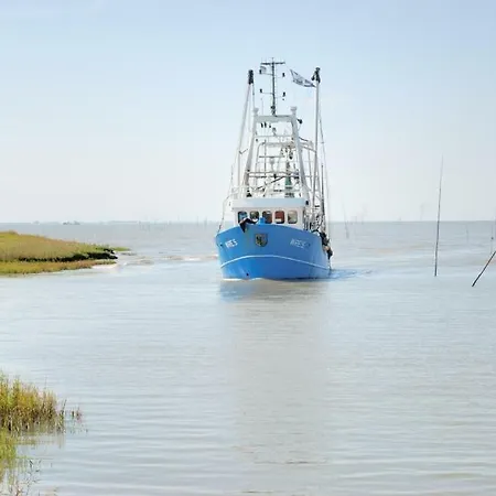 Σπίτι διακοπών Kiebitz Mit Sauna *