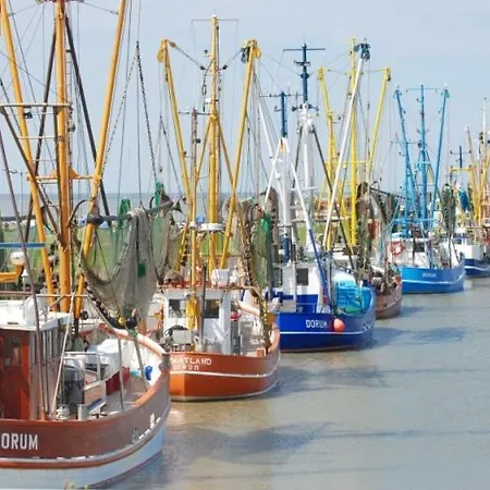 Kiebitz Mit Sauna Holiday home Cappel-Neufeld